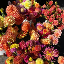 Load image into Gallery viewer, A Dahlia Value Pack (Named) - 10 Tubers