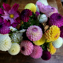 Load image into Gallery viewer, A Dahlia Value Pack (Named) - 10 Tubers