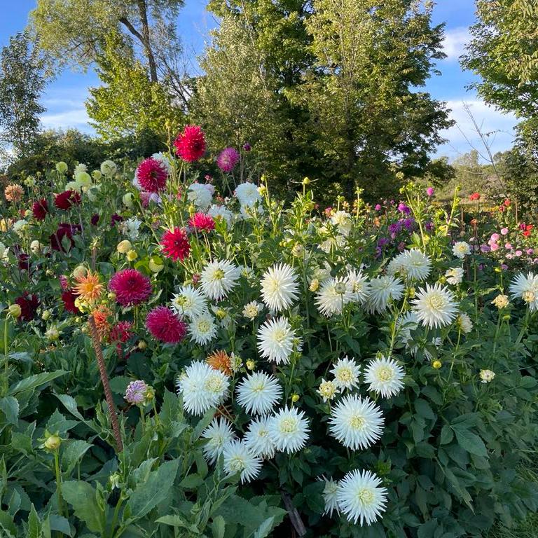 Group Garden Tour