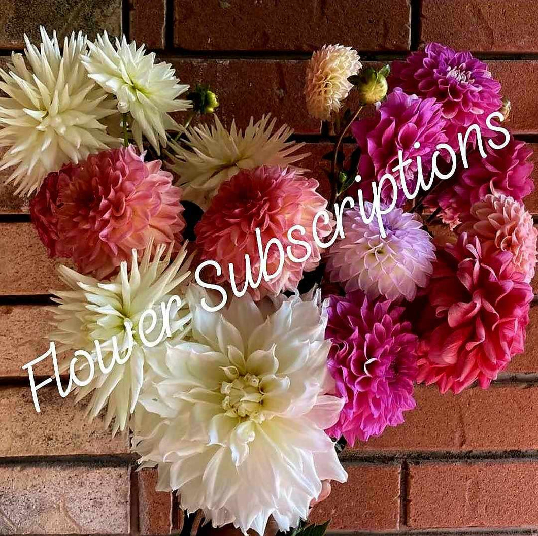 A Flower Subscription