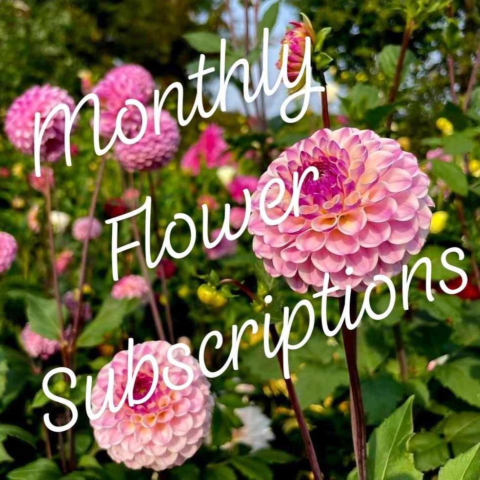 A Monthly Flower Subscription