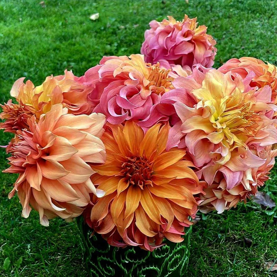 Cut Flower Arrangement - 5 Stems (Large)