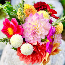 Load image into Gallery viewer, Tiny Treasure Dahlia Tuber - TT
